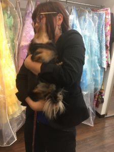 !cid_15dbbe979bba51f0e2e2