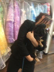 !cid_15dbbe990673238d12b3