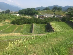 写真 2019-06-19 15 09 40