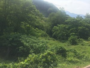 写真 2019-06-19 15 02 00