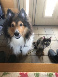 -3xR2Nq0xD8WaBSGoa4zZyb4z6LodH9Dp1lGr0NPWFh0sRpHLOTPHZbUKESOQ2VW3AKYmXgw8qrcfiRaU4RuwjUyqUuU6zfd0HPR3gjHb8rBwSsAZLT72AxEoQ2ch_wA