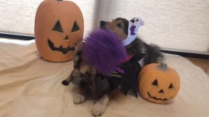 KRGvTxvd6SMtoyjNIm1hi0kNV2PlaBSetLzTMJeou621UJalLuhhb75NQfbIQV-RDW47W5-VrwjPCtEU7YOVjO6hupVnkdQT1K2pN4KmxPT6ZsWyGA1HamQcjMgXhgDA