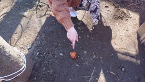 line_oa_chat_200116_105507