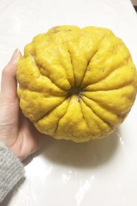 line_oa_chat_200123_172702