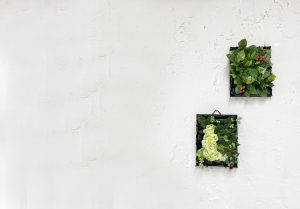 line_oa_chat_200201_162035