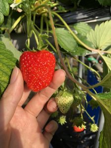 line_oa_chat_200207_131608