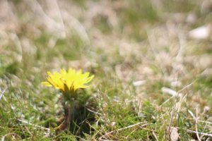 line_oa_chat_200324_170949