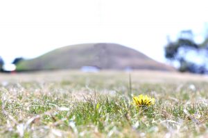 line_oa_chat_200324_170955