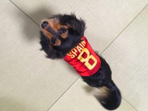 蜀咏悄 2019-01-08 21 51 22