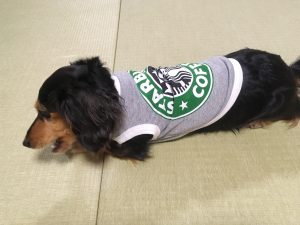 蜀咏悄 2019-01-08 21 54 26