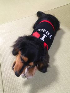 蜀咏悄 2019-01-08 21 52 58