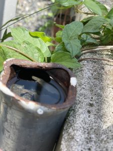 line_oa_chat_200608_102847