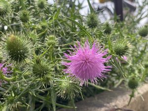 line_oa_chat_200711_162144