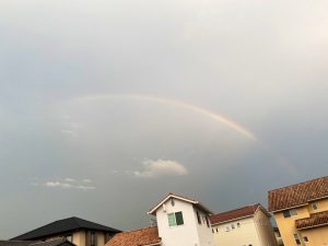 line_oa_chat_200813_150835