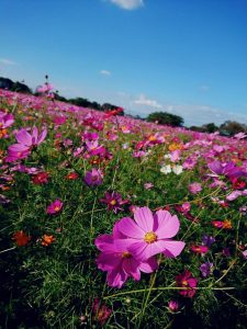 1AZndtyLnJE9ndz6yvwlA6l9TrFiy853b-C7RWFF8otSsFmh4EDbs7T3Mfy0hqioVj0GRed5p6AgUpM1vqbnZCAe1JfC0qEx9-ktsxdi-IOyboiZFkPgBzIzjGpxBVhl