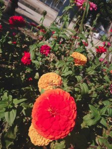 66YWeKObGvSMa8CO2tzNPXd21kOqrE0tU2_Gk4sku4YiwLTYLpJmR1ER-5UGqgnOdZYjx1xuPKZcfXy2wReCDctk9EGsRxZM4j6KoNw4V7SbEzgrjQGlIMxwhhkGlTRh