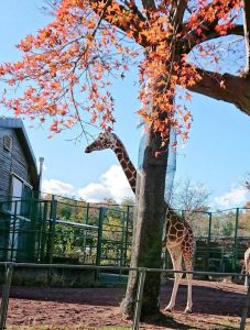 6Ri-Cv62wD-Ewg8LM2Ui5QXJaJH3sb-wJGKjfroioe6BxCdeJFpnhxha-Bq0okYnxUGI8MF1tnoRnoy_yFQwixmmNi91apVCh5MN0EYvjqFwRjapfHU5Iq7bLKQ8SDTc - コピー