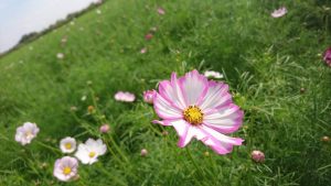 Eh0Xxy1QIohTbRdTEeQAa9URuFEdb-Yq9L8-4RS6rW-ForKUcPhbnCklRdE1yFpE_qK8nXBV55gNqApc5aGIeU4VtCbIA325cJQKswdjF1MkrzLL7PL0y40r4iAueD5F