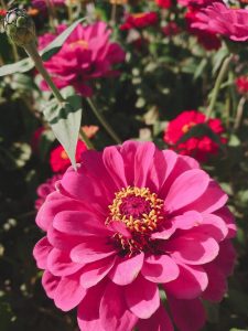 I154OMcPtYll46G7ZyfHhRnBt74BfKRrmvT6w1CFyekIpNWB6nir1s1IiPhejvSX0Qe2LWgPulFTI2FJR9WeDS3T8hI8_oeCbYUTSKsBBAcNrMOnIMTwWvqjtuRIXpQ_