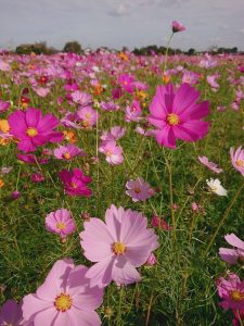 -JsKvt4deGcNjFrJpUPMIJYReCQG4CjrcYYGnmkVWGr4cxM3Kz2kqwnsi1mn3YtK9IEwjGHX-mArbeJMeRwcAcXgNs9pesaLyaMK-LP5tASrGx0fBIJF3iek55l0d9S1