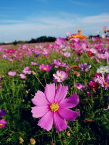 L1ZWhnh1okRVnr-abqkL3jLQe65oLwsSPQE67qCYyHByzEVlNlVTZZD1Iu6mXf7bUbwpYL48sg1AWpzCyXpWE1xWY8N46HXeXt4i7cSCzDHePbSpv9Y3XtA3H7HWRcsg