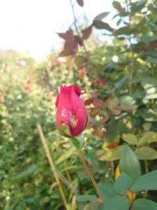 PtlgmJEyP46A_YOEVbZXeFSo2-X6crBuB4GcDOeESESvv1RilbbAdNfRQjZjbkEf4jxTH4dZasWoXDwLBNT7U5YB-X_RaWxpTFCFh10voBeeyFI4KZ9vN8FKNRfBVfgj