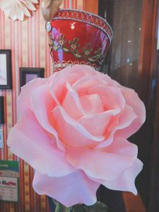 TexvU-cwwmXck91e3aVIGuFkiRO7Fyl2k61deIbgiglzSs7R2aH6Yz44aOf0Fb32bpL_aQFjfA314Fheqqaevs7BOBEVEdYEJld7vvNbUGGr4e1XwGycCi1_XfNVnpn6