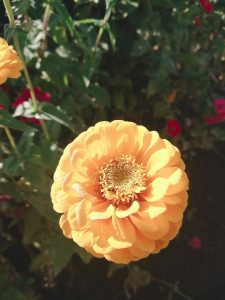 Zfz4bl1-O6t7yVs6Z9GJjc9_LN3RDTzhGnh8boUHj7yNhvPrwkuuFhvmaYevtO1g5VvwVzovd7NBR2QL2cgwiQ2CodqdsjSvMVHskFU4z4munBDNMRn20mCbKw75QDwQ