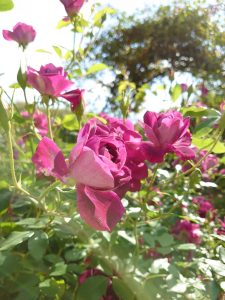 pDd0neMNe1eS_pbTbdlJYtJXKKFW5gNUMrh_v1jxdDcOSWIzCYnMJNGzxyiSUelweKRmlVcmTL8gWdAAalunwrW8NG_kA-7bzwBLNaFFCDsvuVx_7U4tvkFRtH7Gm0Tq