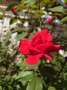 wPhPvruWavFtvulkxVc7FltBkZMlaajvwGwT3X_cNrgcBYOwVw0MDx-dVvS6e0h6KEBlEA6EiT7jY8YZ6tqzhaJx40fuBTy1-MId7ylrEW-4bcx_mxXM4Z4oM5-JsExZ