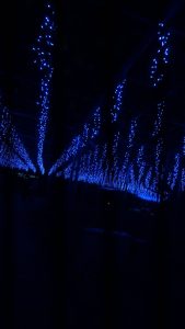 wm8XMcpl_wB841jvEwmNb_3fi9-nwUr6H066bLpTbPzvenW37t3V5mSs0VYQFHqfnZIR4hlH8F9Dfsv9kSZKCoc_RAcRSdm9lM6mpyqYgaJwip3F4CmjC3SfsTjN23gO