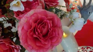 XWaFOodwQ9U1v0OEzQeWNJYMTPSL0hcqO9POv-XQFV2873T1Ijq3fzTcvHC7AxINdIkd3lWyO_Qsdv1MDt7sF5JJ4T5dPK7Z31SiciWqkQV8uDNT_UQVxNYYlnAsLUo7