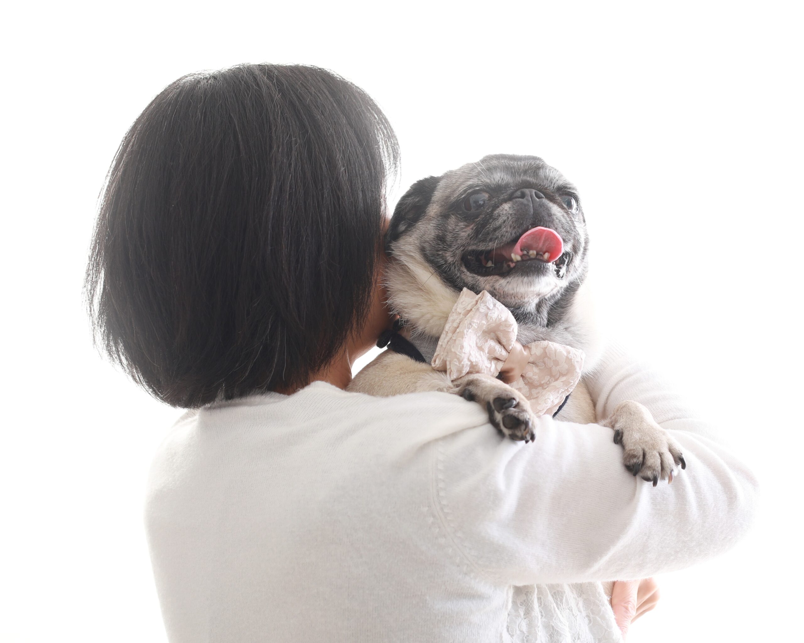 パグの女の子とママのペットフォト